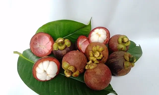Fruta eleita a mais saborosa do mundo pelo TasteAtlas é cultivada no Brasil e tem propriedades medicinais