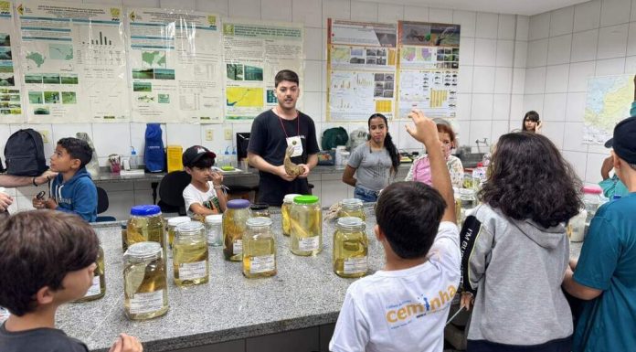 ‘Ceminha Inverno 2026’ abrirá inscrições para uma temporada de descobertas na Caatinga 'Ceminha Inverno 2026' abrirá inscrições para uma temporada de descobertas na Caatinga