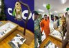 Exposição do Cemafauna Caatinga aproxima público da biodiversidade da Caatinga em Santaluz na Bahia Exposição do Cemafauna Caatinga aproxima público da biodiversidade da Caatinga em Santaluz na Bahia