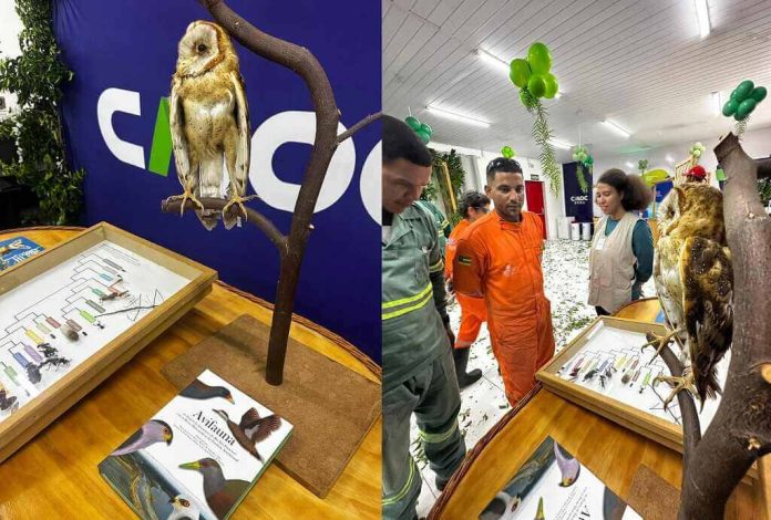 Exposição do Cemafauna Caatinga aproxima público da biodiversidade da Caatinga em Santaluz na Bahia 