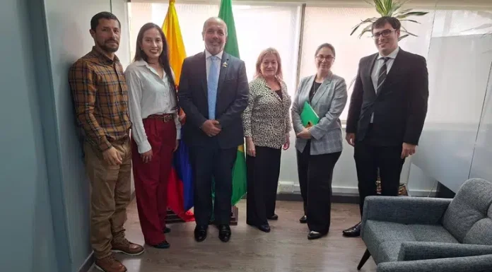 Brasil fortalece articulação com importadores colombianos para ampliar exportações de frutas frescas