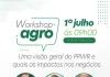 Nova regulamentação europeia sobre embalagens sustentáveis mobiliza setor de frutas e será tema de workshop