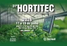 Fruticultura brasileira fortalece produção, consumo e presença internacional