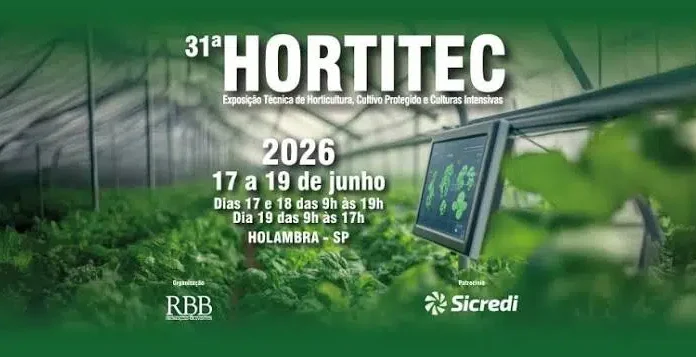 Fruticultura brasileira fortalece produção, consumo e presença internacional