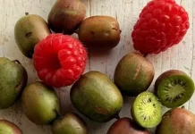 Um minikiwi satisfaz muita gente: frutas em miniatura conquistam produtores e consumidores