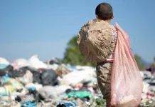 Mais de 4,3 mil crianças foram tiradas do trabalho infantil em 2025