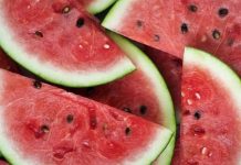 As 3 frutas que já somam 100 mil toneladas de produção em todo MS