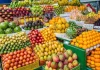 Sebrae-SP lança projeto de fruticultura com propriedades modelos na região de Bauru