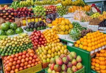 Sebrae-SP lança projeto de fruticultura com propriedades modelos na região de Bauru