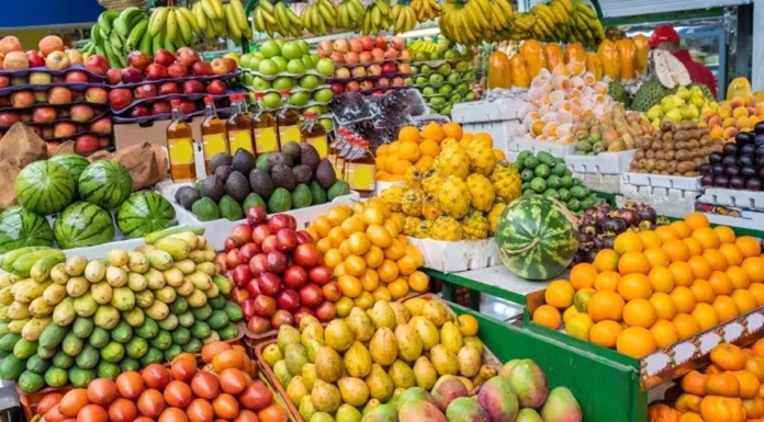 Sebrae-SP lança projeto de fruticultura com propriedades modelos na região de Bauru