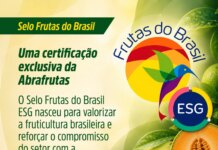 Sustentabilidade deixa de ser diferencial e passa a definir o futuro da fruticultura brasileira