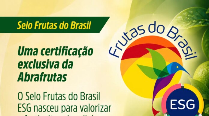 Sustentabilidade deixa de ser diferencial e passa a definir o futuro da fruticultura brasileira