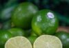 Cuba abre mercado para o limão brasileiro e amplia oportunidades para a fruticultura nacional
