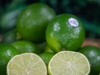 Cuba abre mercado para o limão brasileiro e amplia oportunidades para a fruticultura nacional