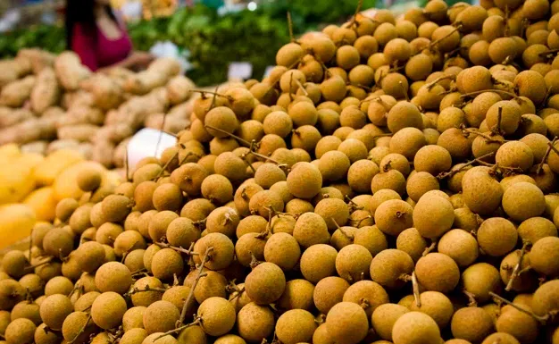 Conhecida como olho do dragão, fruta exótica pode virar aposta dos pomares