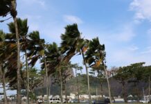 Defesa Civil alerta para ventos fortes na cidade do Rio