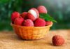 São Paulo produz 80% da lichia do Brasil e amplia vendas para a Europa