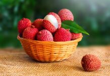 São Paulo produz 80% da lichia do Brasil e amplia vendas para a Europa