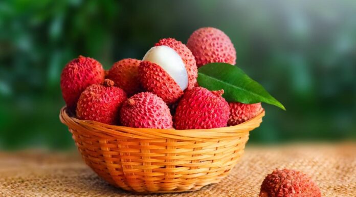São Paulo produz 80% da lichia do Brasil e amplia vendas para a Europa