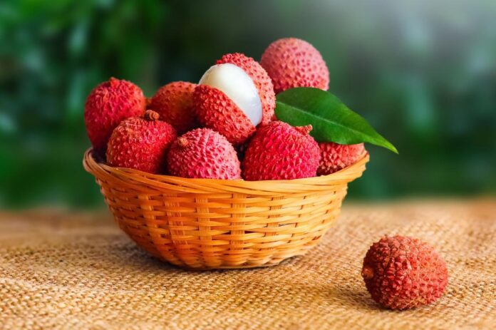 São Paulo produz 80% da lichia do Brasil e amplia vendas para a Europa