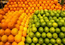 Exportações de frutas do Brasil crescem 42% no primeiro semestre