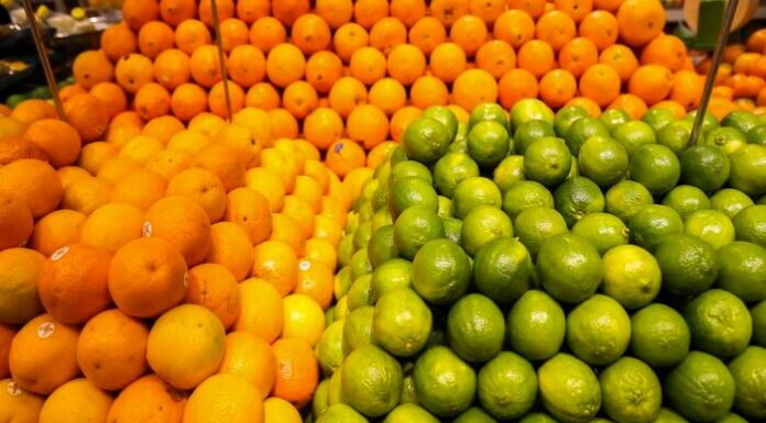Exportações de frutas do Brasil crescem 42% no primeiro semestre