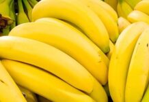 Bahia segue como segundo maior produtor de frutas do País