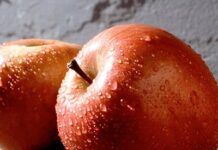 Gala ou Fuji? Veja como identificar as duas principais maçãs produzidas no Brasil