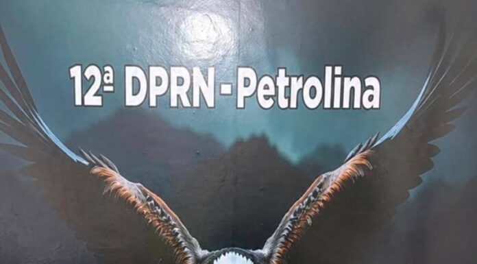 Polícia Civil e Receita Federal apreendem cerca de 20 quilos de pasta base de cocaína em Petrolina Polícia Civil e Receita Federal apreendem cerca de 20 quilos de pasta base de cocaína em Petrolina