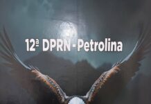 Operação integrada entre as polícias de Pernambuco e Piauí apreende cerca de 17 kg de drogas e prende suspeitos Operação integrada entre as polícias de Pernambuco e Piauí apreende cerca de 17 kg de drogas e prende suspeitos