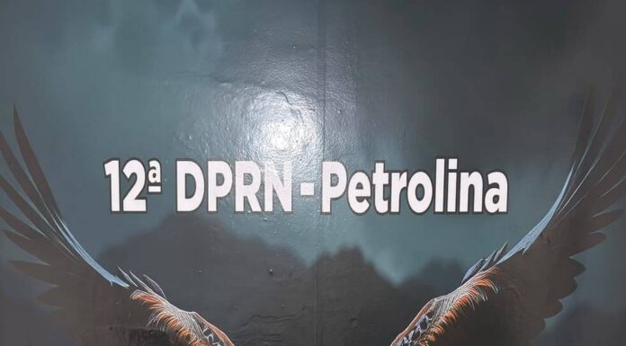 Operação integrada entre as polícias de Pernambuco e Piauí apreende cerca de 17 kg de drogas e prende suspeitos Operação integrada entre as polícias de Pernambuco e Piauí apreende cerca de 17 kg de drogas e prende suspeitos