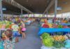 Feiras livres funcionarão normalmente no domingo de eleição em Petrolina Feiras livres funcionarão normalmente no domingo de eleição em Petrolina