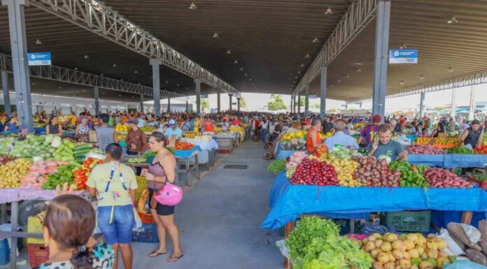 Feiras livres funcionarão normalmente no domingo de eleição em Petrolina Feiras livres funcionarão normalmente no domingo de eleição em Petrolina