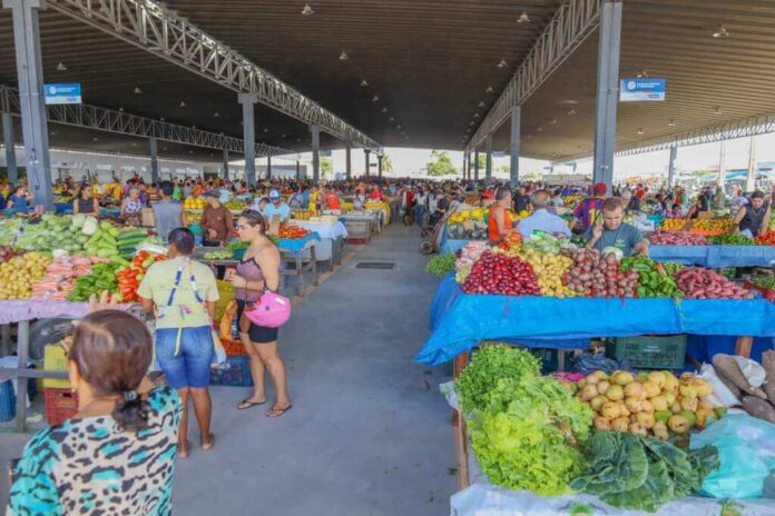 Feiras livres funcionarão normalmente no domingo de eleição em Petrolina Feiras livres funcionarão normalmente no domingo de eleição em Petrolina